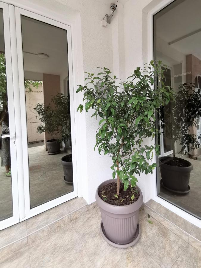Hotel Suzana Budva Eksteriør billede