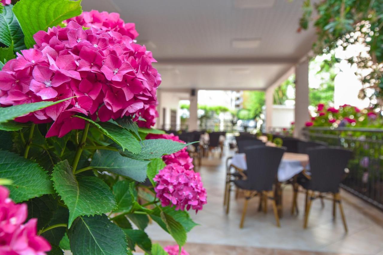 Hotel Suzana Budva Eksteriør billede